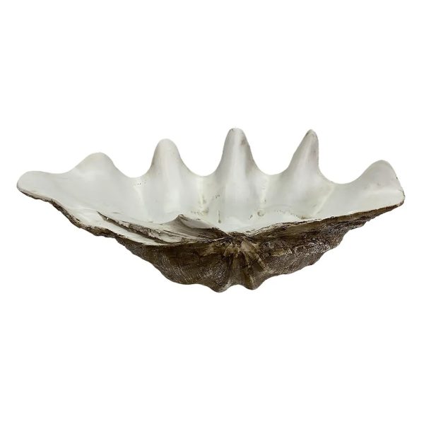 Concha Branco/Marrom 52 X28 X18,5 Resina
