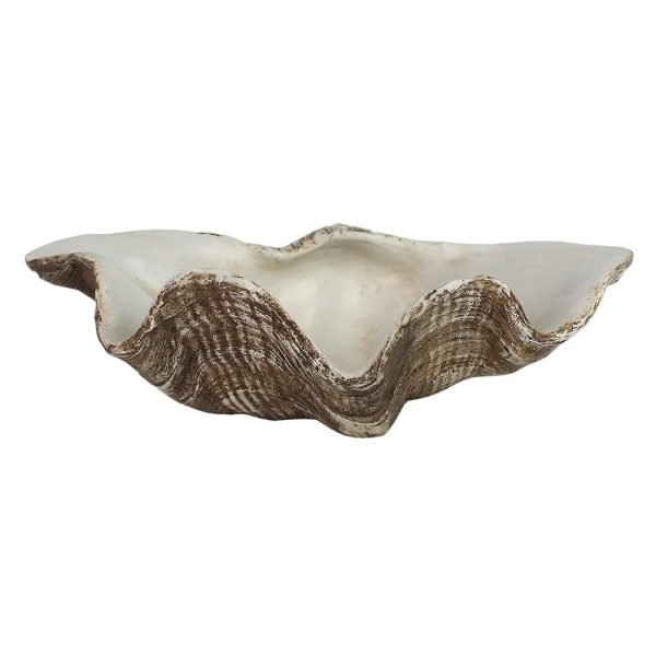 Concha Branco/Marrom 26 X15,8 X7,5 Resina